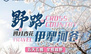 【野路伊犁河谷】四月杏花5日越野之旅