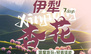 【伊犁杏花】深度休闲&轻装徒步七日杏花旅行